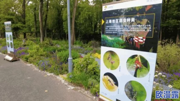 东南稀缺仙踪林:保护生态环境,助力生物多样性恢复的紧迫行动与未来展望 东南稀缺仙踪林:保护生态环境,助力生物多样性恢复的紧迫行动与未来展望