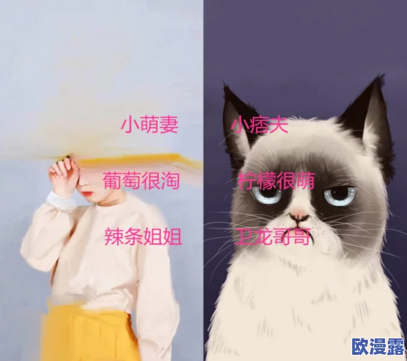 4虎的网名最新：网友们纷纷表示这些网名创意十足，个性鲜明，让人眼前一亮！