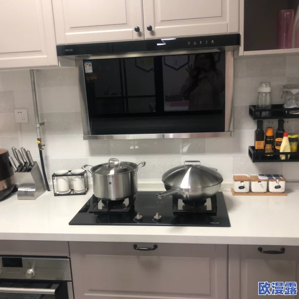 疯狂厨房2双人模式难关突破：全新策略与技巧分享，助你轻松应对挑战！