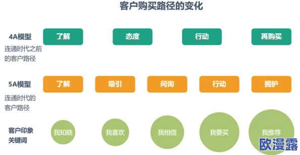 仙人掌嘿呦嘿呦网站推广：数字营销策略、社交媒体运用与用户转化技巧分享