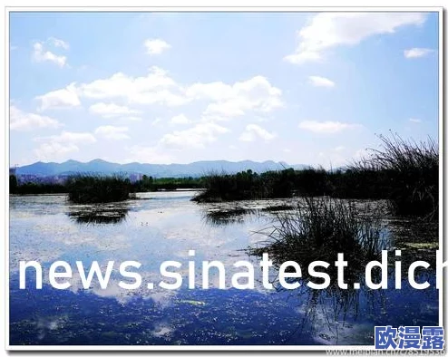 罗志祥5G天天奭新动态：全新音乐作品即将发布，粉丝期待值飙升！