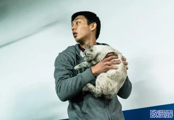 《哑剧猫》进展：全新舞台版即将首演，演员阵容与创作团队引发观众期待