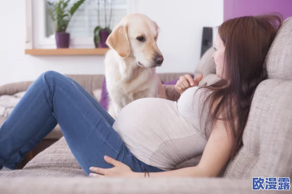 逼逼狗：新一季宠物互动游戏上线，带你体验与爱犬的亲密时光和趣味挑战！