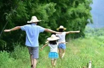 拔萝卜不盖被子：农民们如何在寒冷的冬季坚持收获，分享他们的经验与挑战