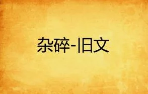 《yin乱的日子小说》：在纷繁复杂的人际关系中，主角如何寻找自我与爱的真谛？