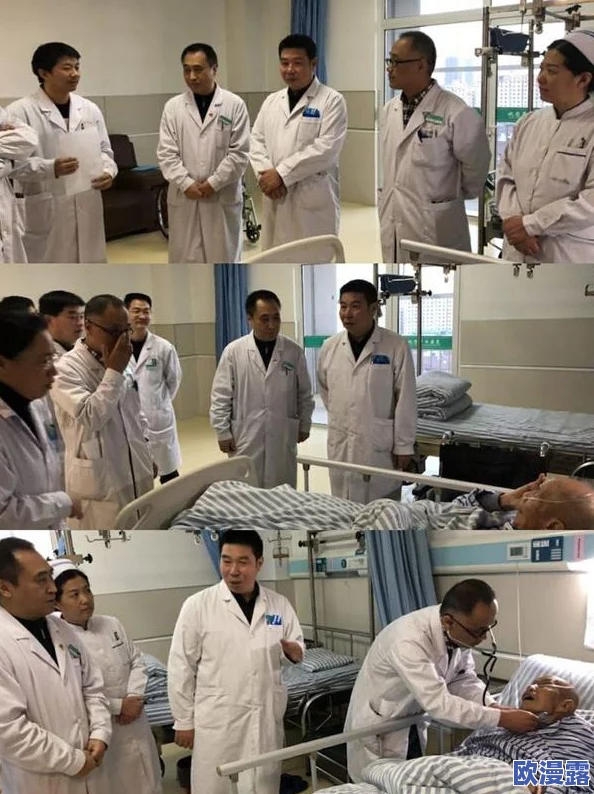 欢乐西游深度解析：装备置换全攻略与高效搭配技巧