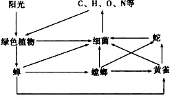 17C.草吃瓜：最新动态揭示了草食动物在生态系统中的重要性及其对环境的影响，值得关注！
