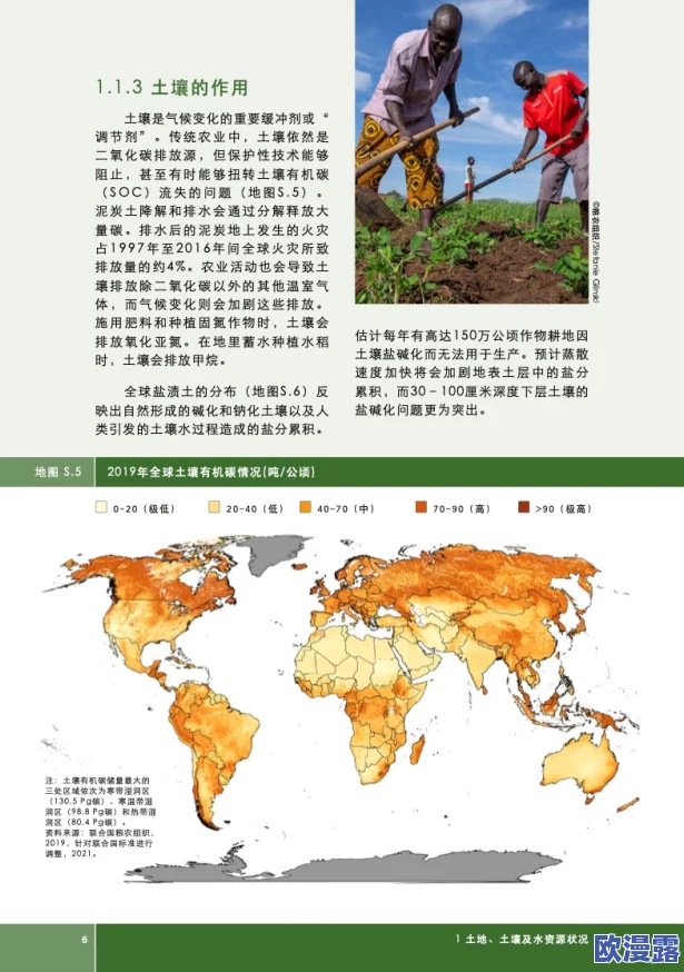 大地资源第五页：最新研究揭示全球土壤健康对生态系统可持续发展的重要性与挑战