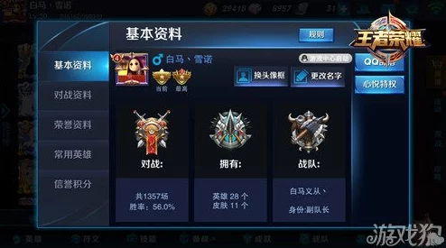 王者荣耀坑爹玩家排行榜深度解读：揭秘哪些行为最让人头疼？