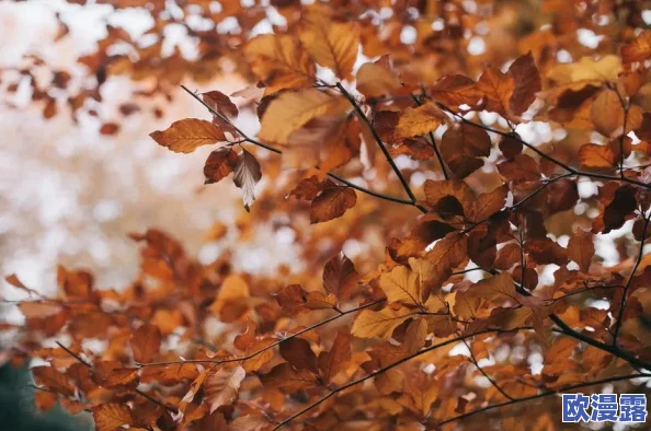 回姥姥家的路上和妈妈在后座,阳光透过树叶洒下温暖的光影,车窗外的风景如画般美丽动人 回姥姥家的路上和妈妈在后座,阳光透过树叶洒下温暖的光影,车窗外的风景如画般美丽动人