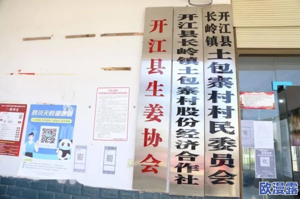 九幺黄9·1安装正式启动，助力行业升级与技术革新，推动市场发展新机遇