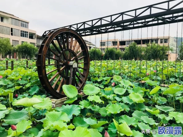 老牛影院：全新影片上线，观影体验再升级，带你领略不一样的视听盛宴！