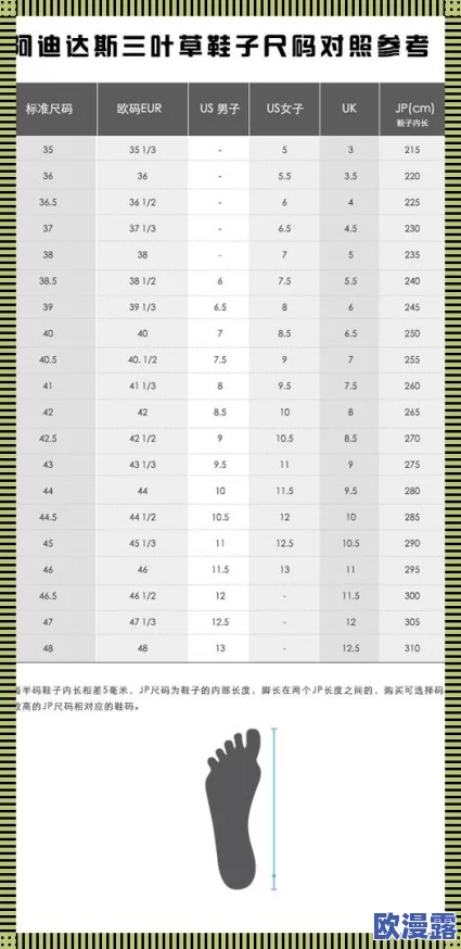 三叶草欧洲码和m码的区别：了解尺码标准与适合人群，助你选择最合适的运动鞋