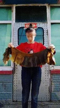 绝地求生刺激战场：带妹获胜全攻略，刚枪技巧一步到位致胜秘籍