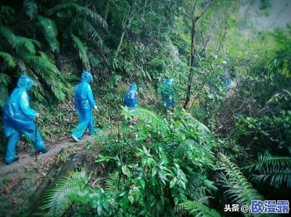 宝贝今天可不可以不带小雨伞？让我们一起看看天气预报，了解一下外面的情况和出行建议！