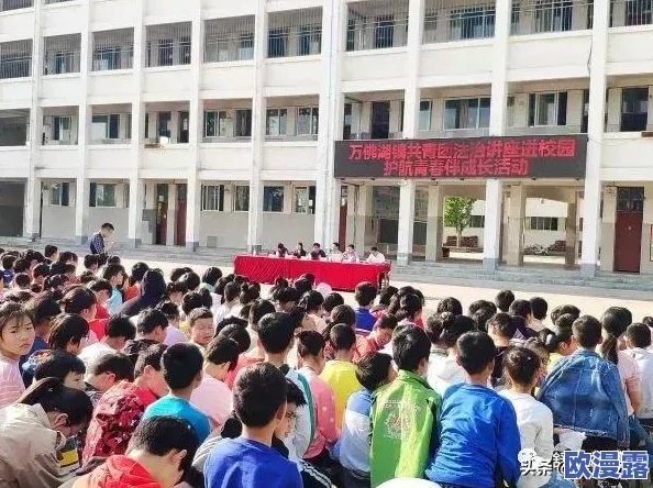 全民打怪兽韩服深度解析：七星伙伴被动技能全面详解指南