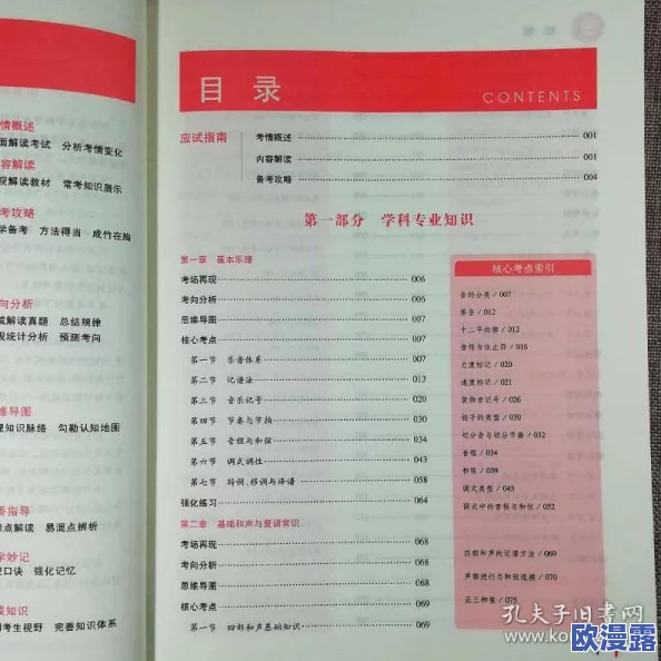饭山香织：最新动态揭示她在音乐事业上的新突破与未来计划，粉丝们期待已久的消息终于来临！