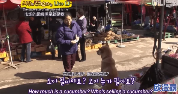 狗爷城中村国际在线观看:震撼来袭,超高人气引发热议,网友纷纷点赞狂欢! 狗爷城中村国际在线观看:震撼来袭,超高人气引发热议,网友纷纷点赞狂欢!