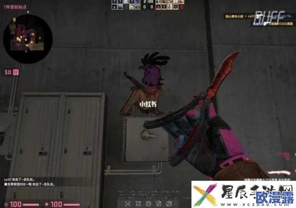 暴躁老阿姨csgo：她在游戏中展现出惊人的技巧与幽默，成为玩家们热议的焦点！