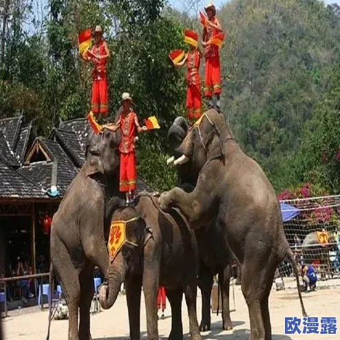 暗网呦呦：最新研究揭示暗网交易的隐秘生态与安全风险，警惕网络犯罪新趋势！