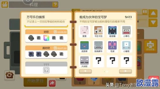 宝可梦大探险全关卡通关秘籍与攻略技巧详细汇总