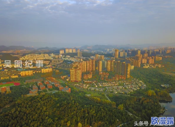 爽爽：最新动态揭示了这一现象在社会生活中的影响与发展趋势，引发广泛关注与讨论