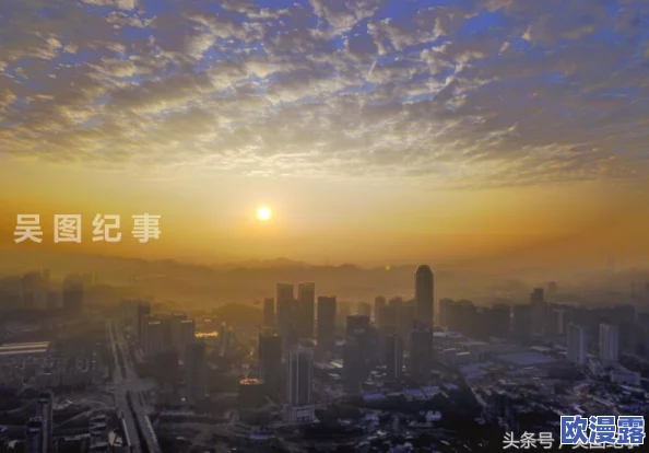 爽爽：最新动态揭示了这一现象在社会生活中的影响与发展趋势，引发广泛关注与讨论