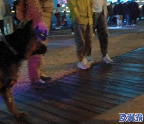 cc耶耶至尊版一直叫摩托摇,最新动态揭示其独特魅力与用户体验的提升,引发广泛关注与讨论 cc耶耶至尊版一直叫摩托摇,最新动态揭示其独特魅力与用户体验的提升,引发广泛关注与讨论