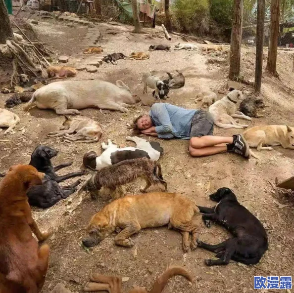 外国兽皇震撼登场！全球动物界的超级明星引发热议，粉丝狂潮席卷各大社交平台！