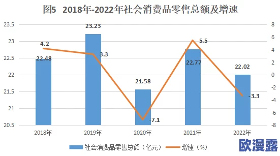 区最新进展：新政策实施推动经济发展，居民生活水平显著提升，社会服务体系不断完善
