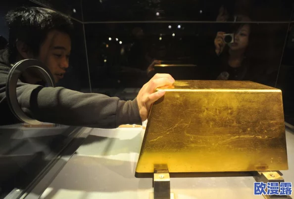 欧美无砖砖区免费政策最新进展：多国积极推动无砖区建设，促进绿色经济与可持续发展