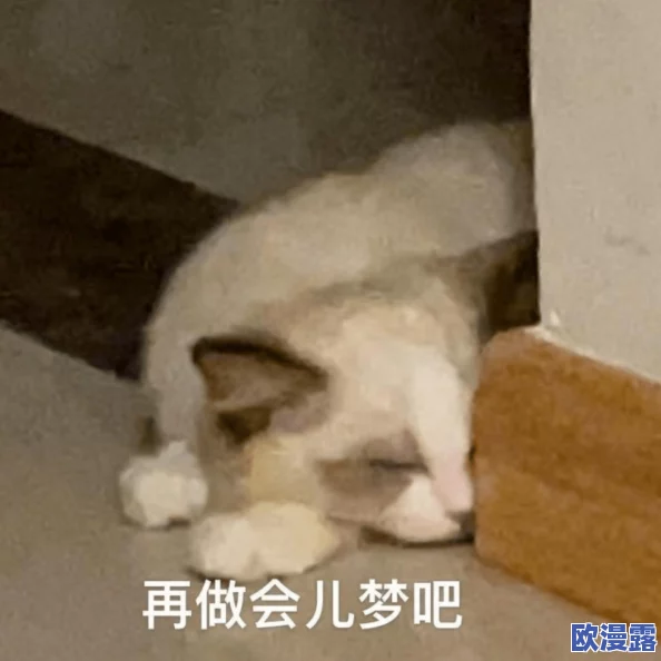 黄色片在线网站最新动态：新平台上线，提供更丰富的内容选择与用户体验，吸引了大量观众关注与参与
