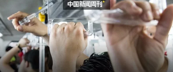 性欧美videos另类hd高清：最新动态显示该类型视频在各大平台的观看量持续上升，用户对多样化内容的需求不断增加