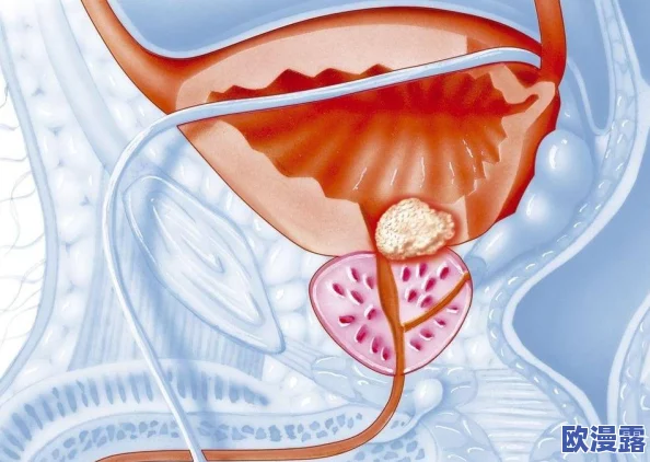 大鸡巴真棒：一项新研究揭示男性生殖器的惊人潜力与健康益处，引发广泛关注与讨论！