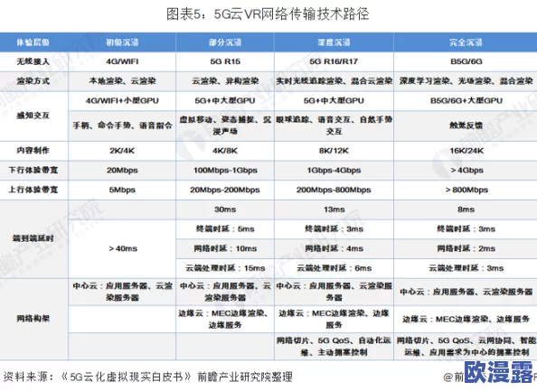 欧美xoxoxoxoxo性视频：最新动态与行业趋势分析，探讨内容创作与观众需求的变化