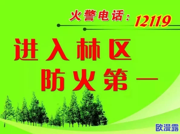 乡村烈焰又粗又长又大，火灾频发引发关注，专家呼吁加强森林防火和应急管理措施