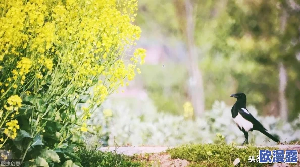 青丘狐传说：清明时节特色修仙玩法推荐与攻略指南