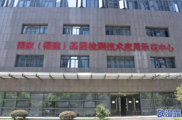 欧美中文一区：最新动态揭示文化交流新趋势，推动中西方合作与理解的多元发展