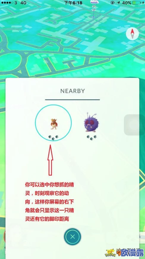 精灵宝可梦GO道具系统全面解析：新手必备攻略与使用技巧指南