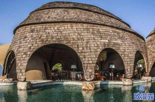 探索一区二区三区久久精品的魅力：沉浸式体验与多元文化交融的全新视角