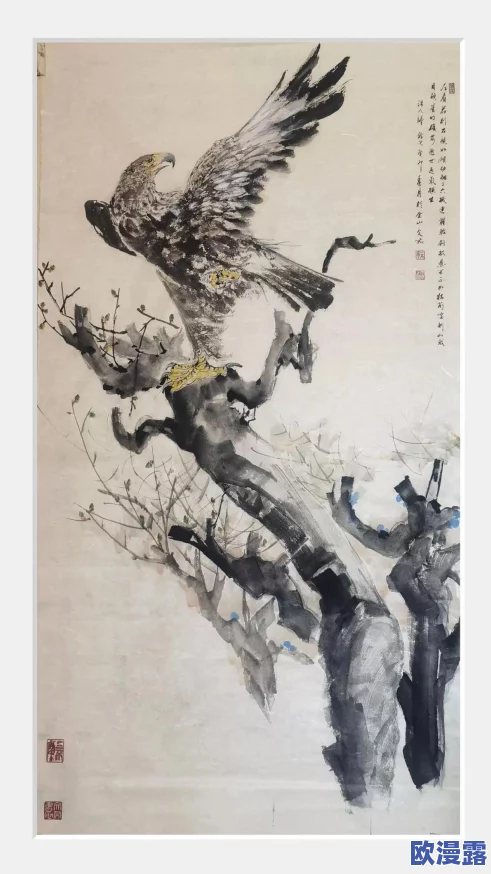 奇迹暖暖苍穹之鹰获取攻略：全面介绍获得方法与技巧