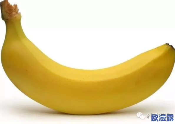 探索国产精品吹潮香蕉在线观看的魅力与精彩，带你领略不一样的视听盛宴