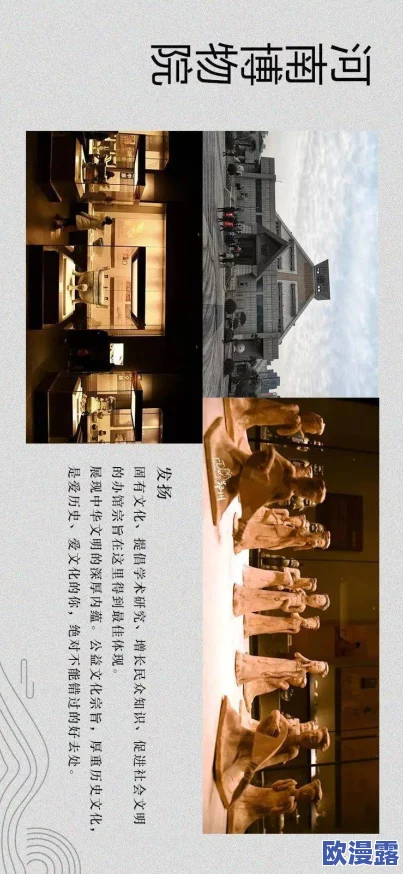 探索日本老熟matute视频：揭示隐藏在文化背后的独特魅力与故事