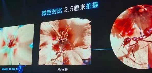 探索免费永久欧美性色XO影院，畅享无尽精彩影视体验的最佳选择
