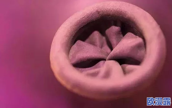 探索女性魅力:阳道口视频中的美丽与自信,展现独特的身体艺术与自然之美 探索女性魅力:阳道口视频中的美丽与自信,展现独特的身体艺术与自然之美
