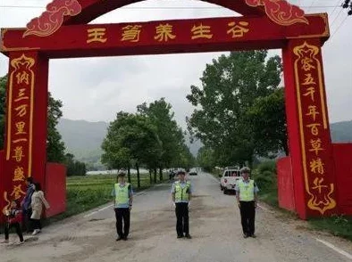 深度剖析：战谷守护星核心技能搭配与实战应用分析