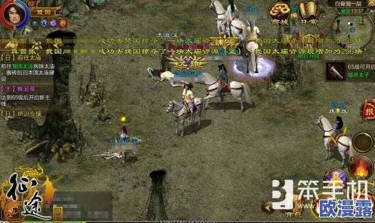 征途手机版65级杖职业高效装备搭配与升级攻略详解
