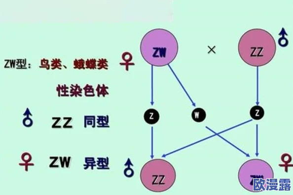 性无码专区无码：最新研究揭示性别认同与社会文化影响的深层关系，挑战传统观念引发广泛讨论