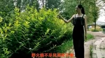 青青河边草高清免费版新闻,网友们纷纷表示这部作品真是经典,值得一看! 青青河边草高清免费版新闻,网友们纷纷表示这部作品真是经典,值得一看!