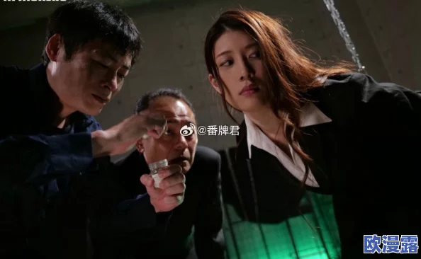 女搜查官惨遭蹂躏系列在线观看：揭示权力与欲望交织的黑暗真相